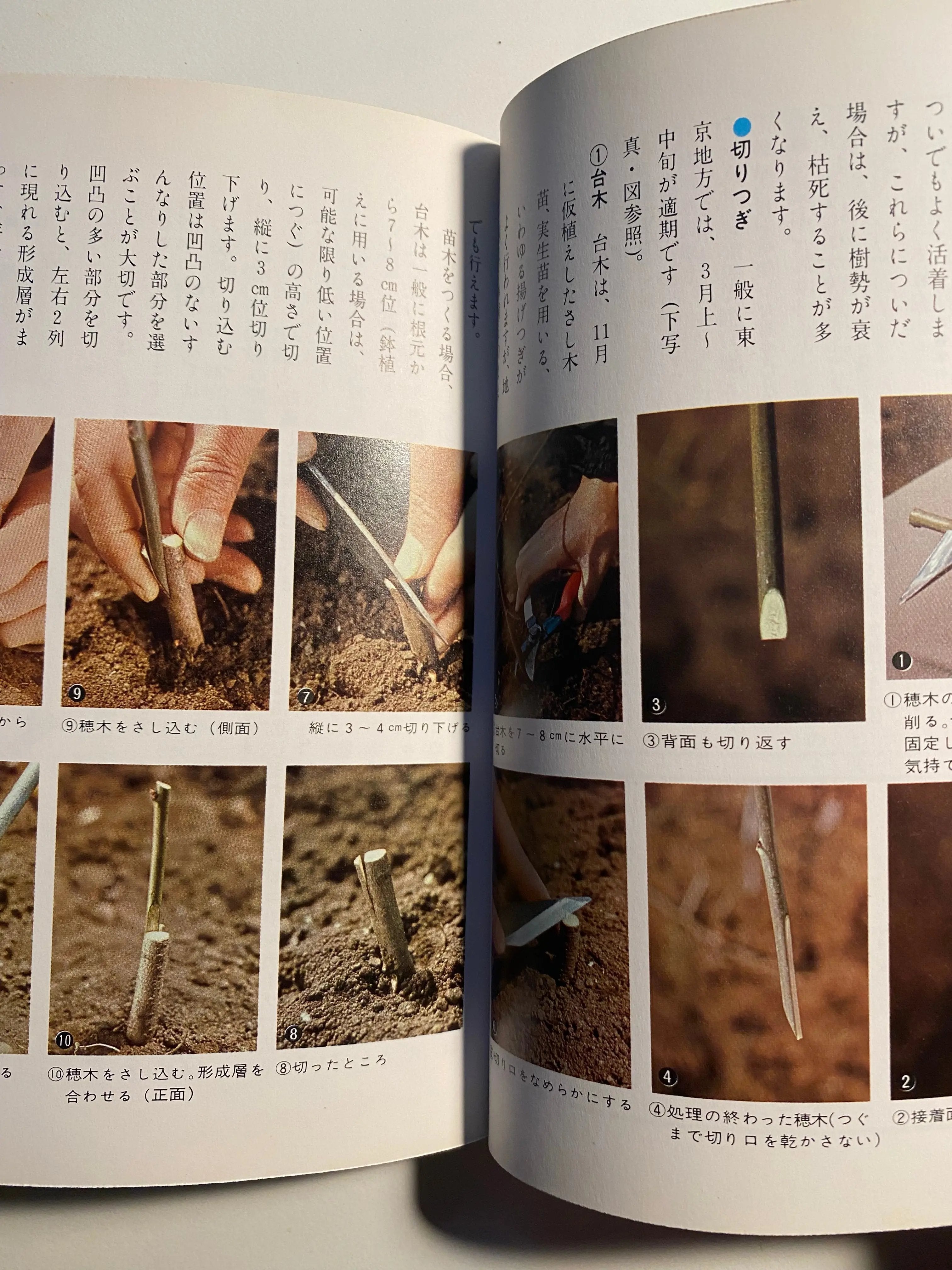 Ume book CB Books